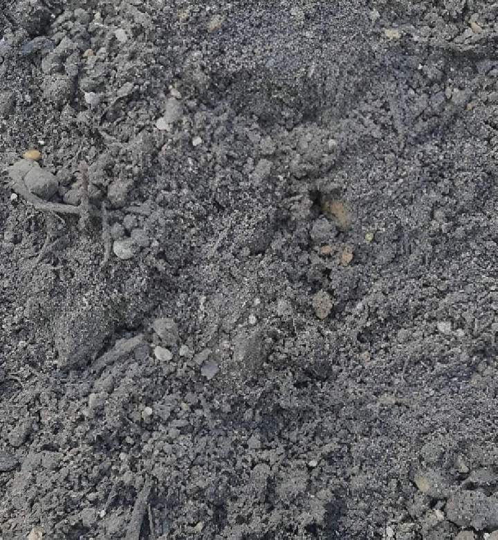 Vente terre maraîchère Servon